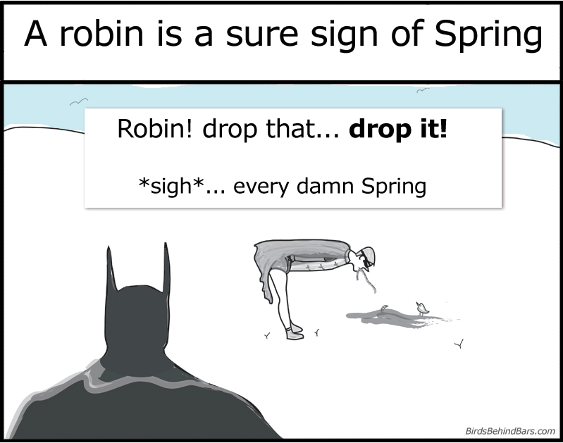 funny batman and robin comic