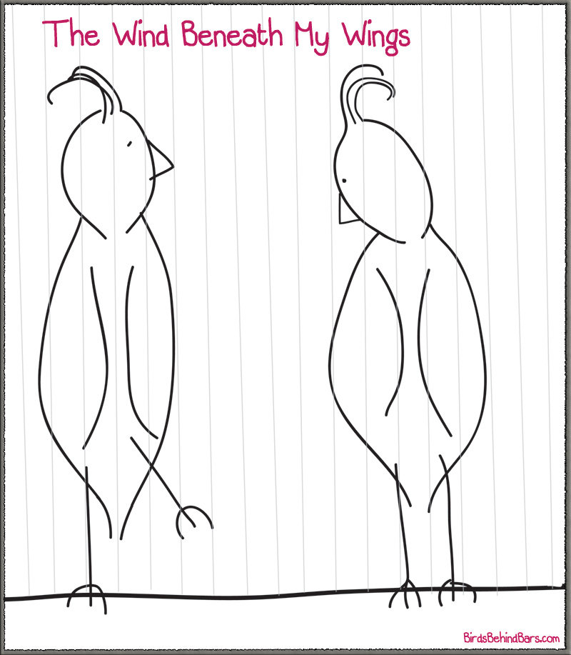 comic with bird