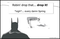 Batman Robin            